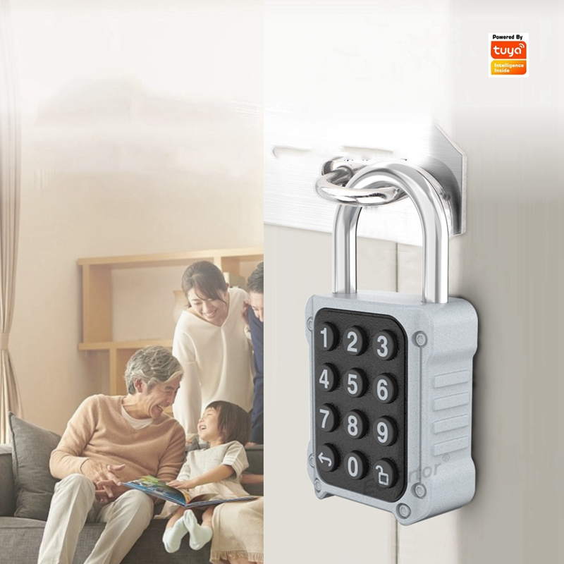 Умный электронный замок Tuya с – обзор и цена Lockbox Key Secure